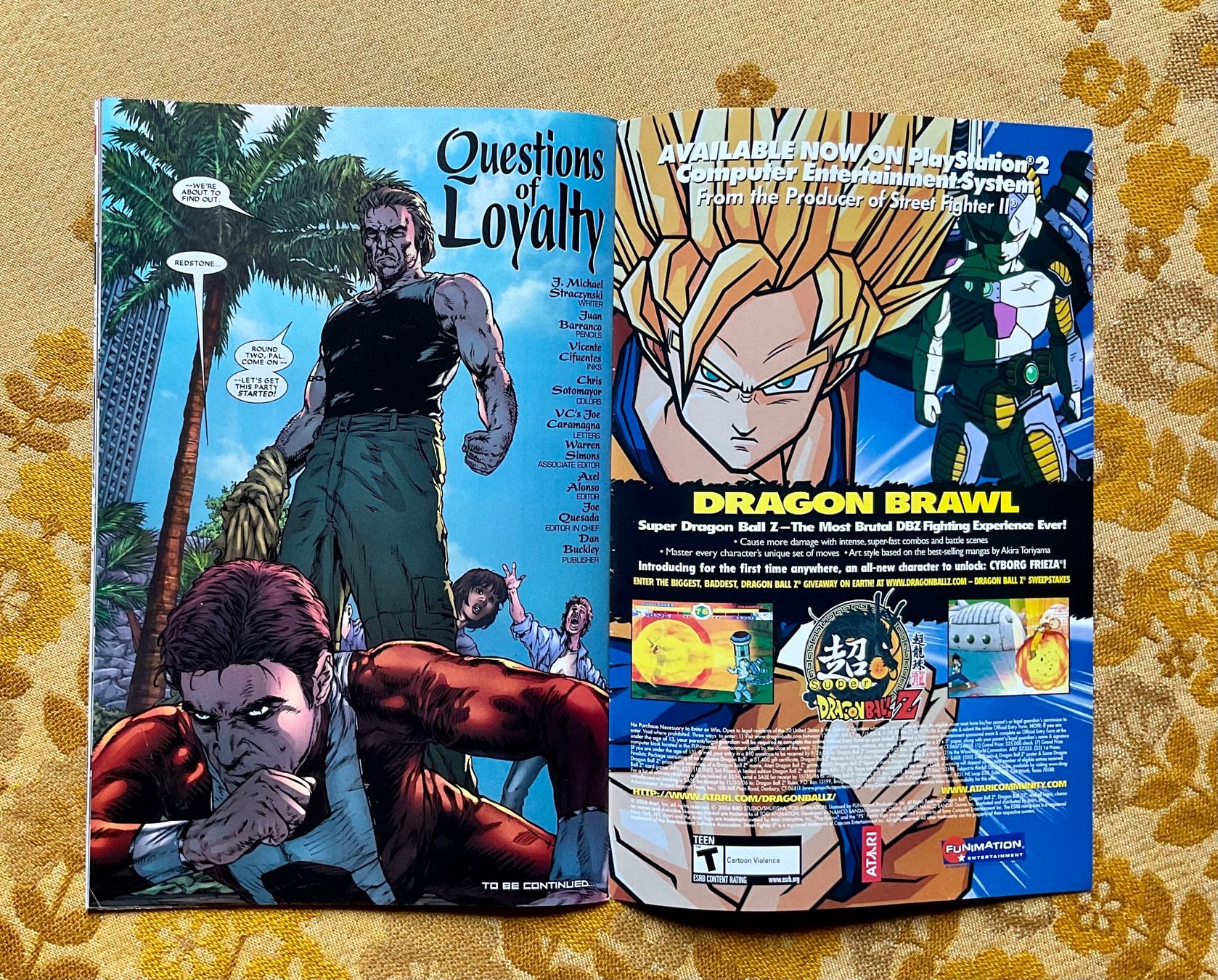 Fumetti: Squadron Supreme Heft Nr 6 von 2006 ENGLISCH – Usato da Endingen venduto da nathan05 8
