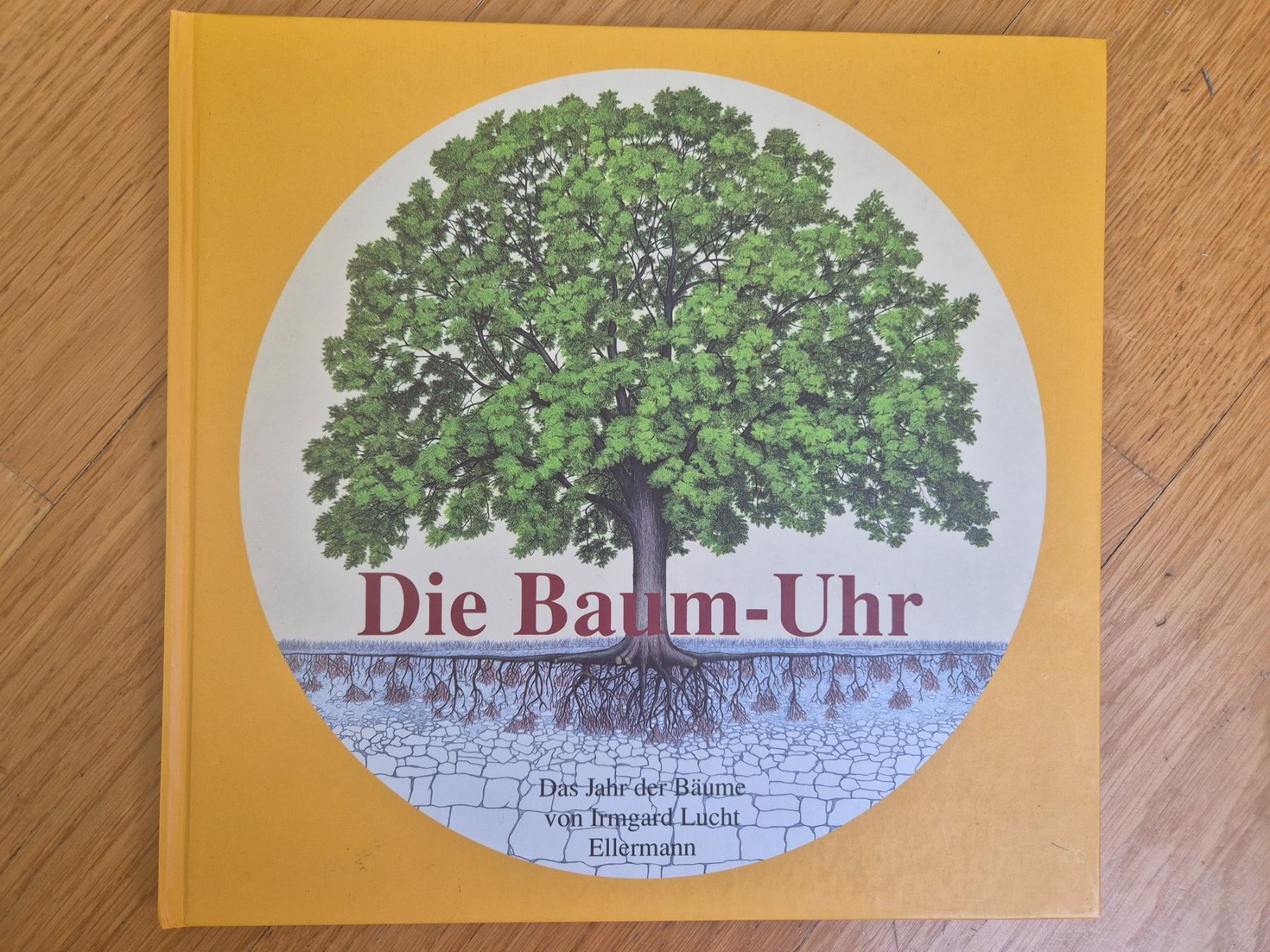Bücher: Die Baum-Uhr – Gebraucht aus Adliswil von Al05