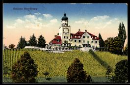 AK Heerbrugg, Schloss Heerbrugg, 1915