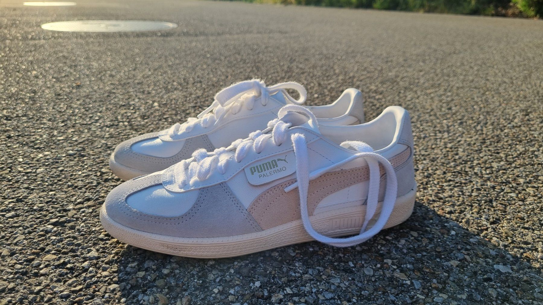 Puma Chaussures femmes: Damen-Sneaker Puma Palermo, Grösse 39 – Neuf (Voir description) à Dättlikon par and_67qh 1