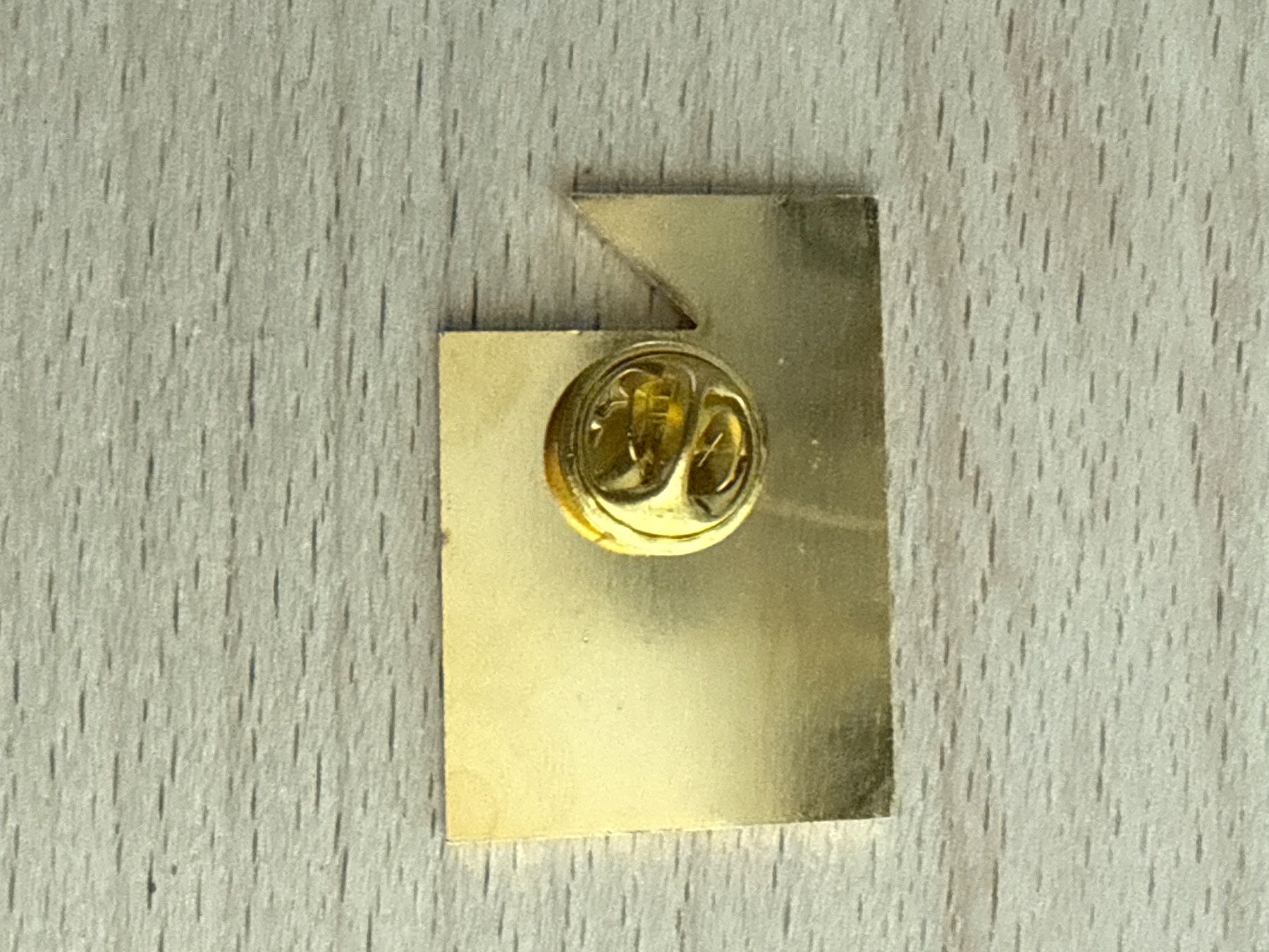 Plaketten & Abzeichen: Pin  Walter Steiner Sapporo 72 Olympia – Gebraucht aus Glattbrugg von Schweigmatt 1