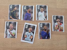 Panini Cola Sticker