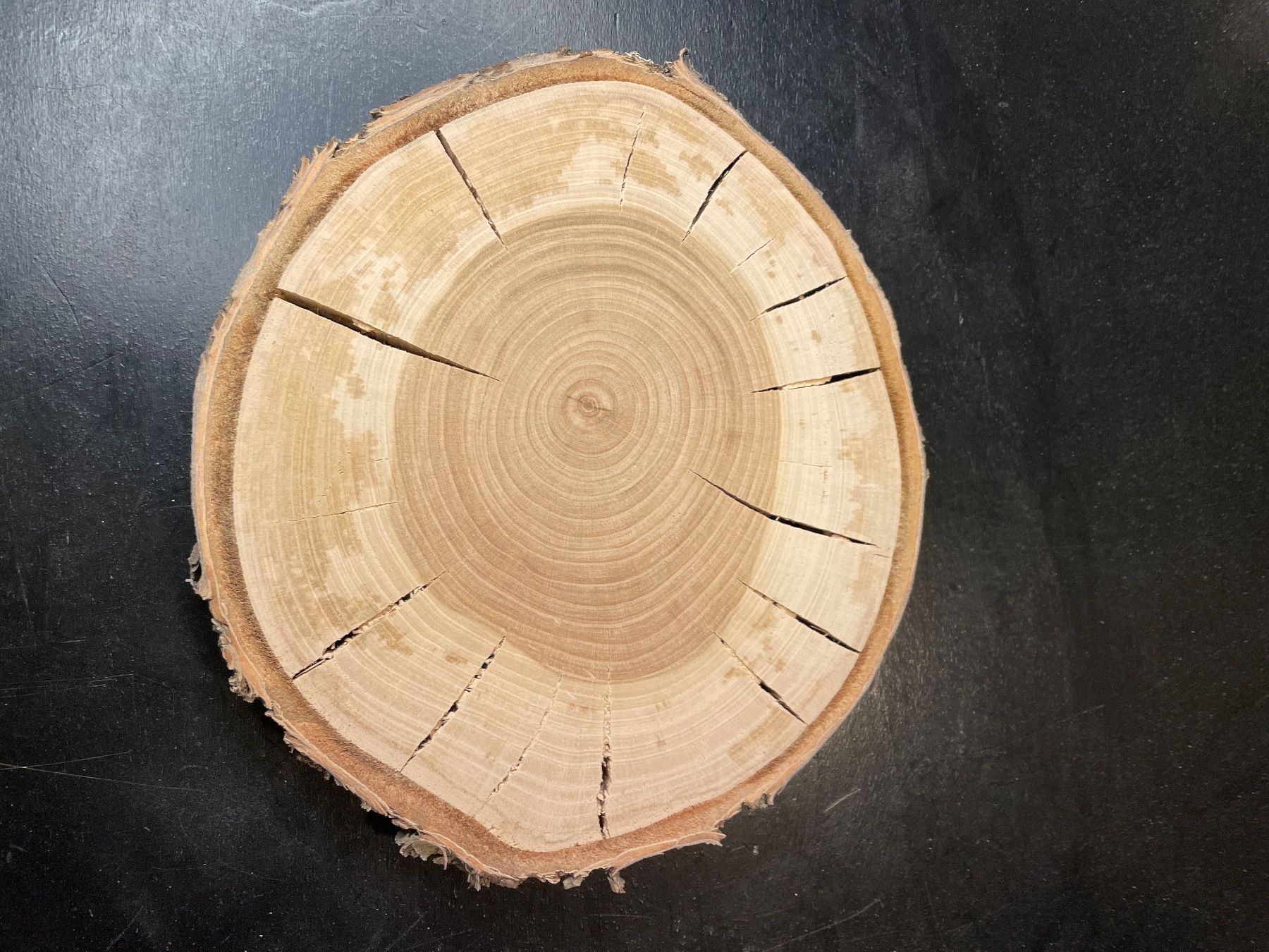Articoli in legno: Holzscheibe Kirsche alt – Usato da Brunnen venduto da Holz-style