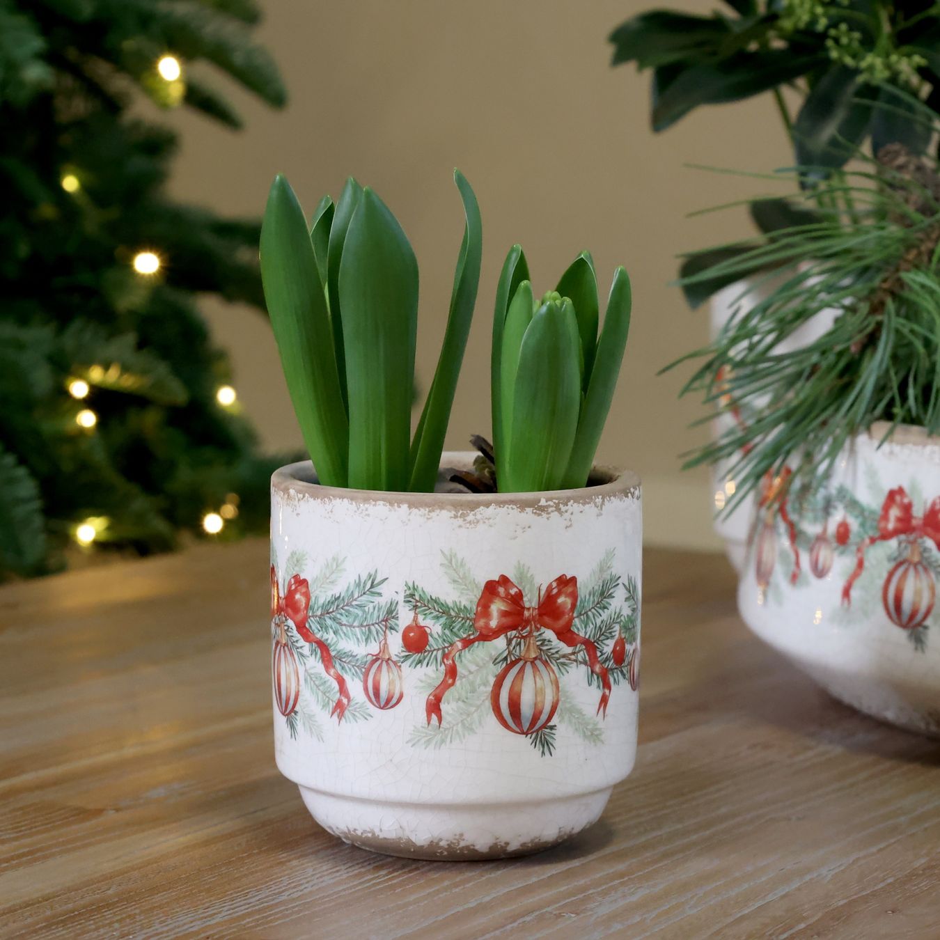 Blumentöpfe: Chic Antique Übertopf mit Weihnachtskugel und Schleife – Neu und originalverpackt aus Innertkirchen von Glatthard-Interior