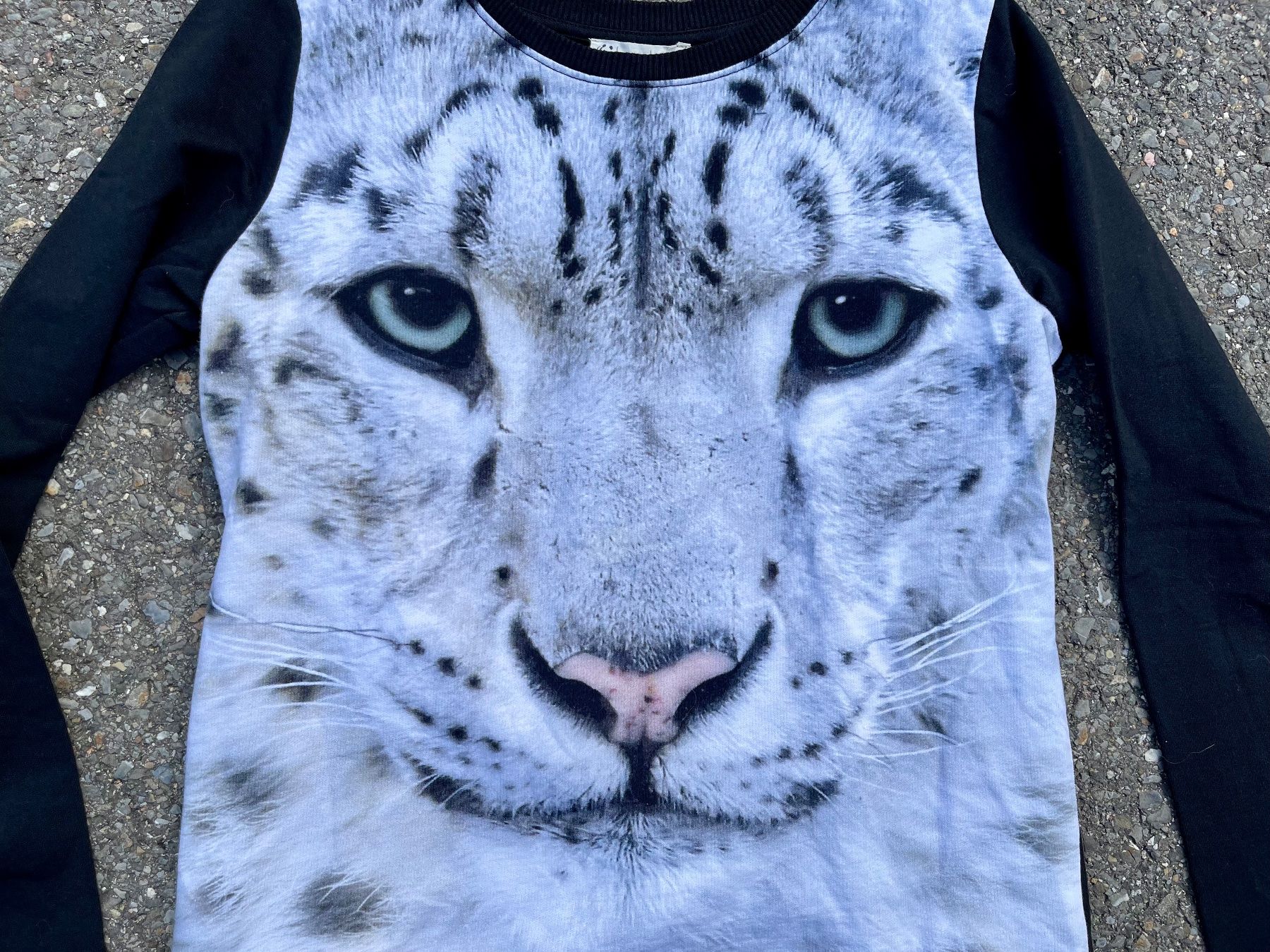 Maglioni & Felpe: lässiger Tiger Pullover Gr. 158 / 164 – Usato da Buchrain venduto da Sunny026 1