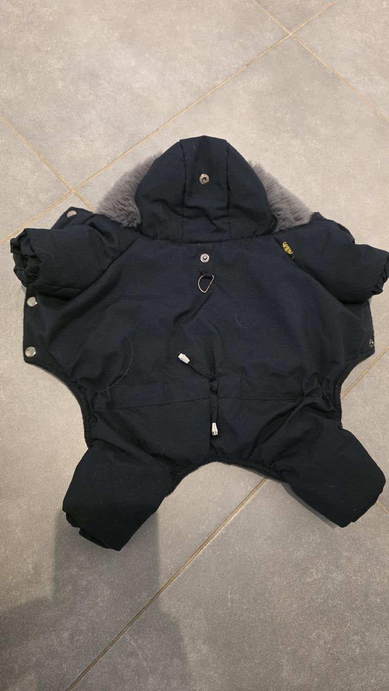 Abbigliamento: vêtements pour chien  – Usato da Fontainemelon venduto da ale_b865 3