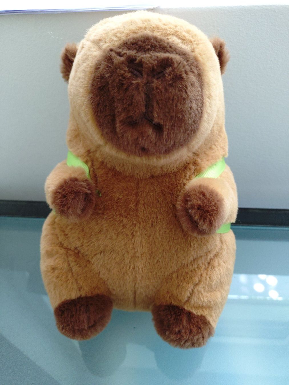 Giocattoli: Capybara plüschtier mit Schildkröten Rucksack 22 cm – Usato da Bottmingen venduto da Pidi0
