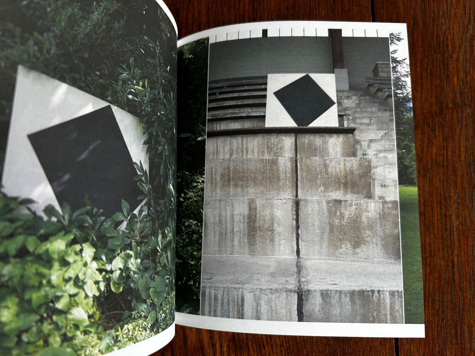 Libri: Dem Bild die Welt zeigen – Usato da Basel venduto da Chamisso 2