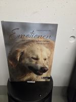 Buch Emotionen bei Hunden sehen lernen  gebraucht
