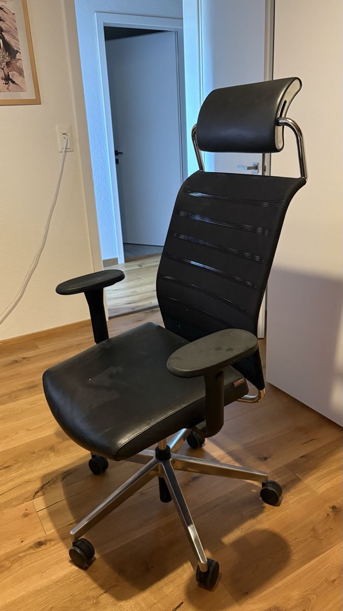 Züco Sedie: ZÜCO Office Chair Black Leather Mesh – Usato da St. Margrethen SG venduto da leo_lg9y 1