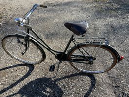Allegro Velo  antik