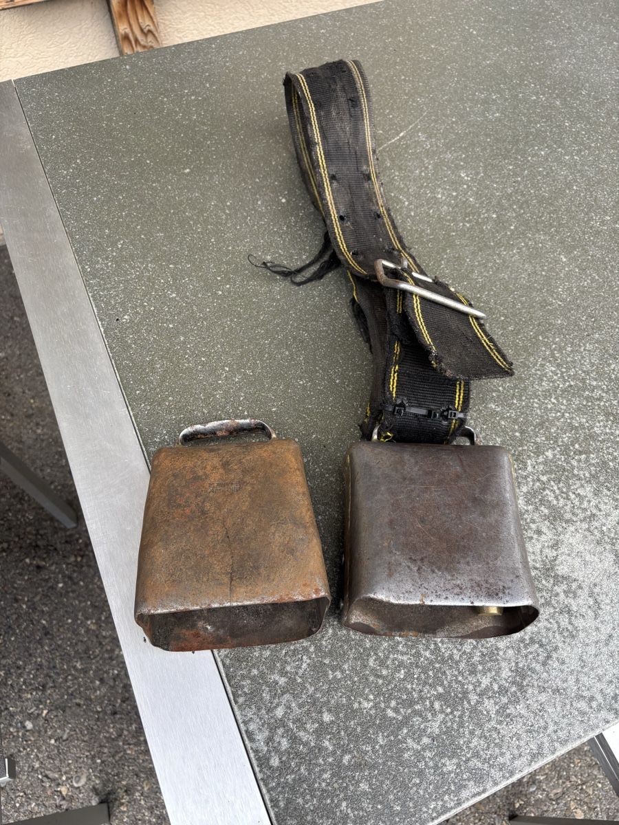 Campanacci mucche: 2 Bissen I.Zwyer Altdorf. – Usato da Schangnau venduto da Roseggli82
