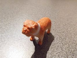 Hund braun, weisser Hals