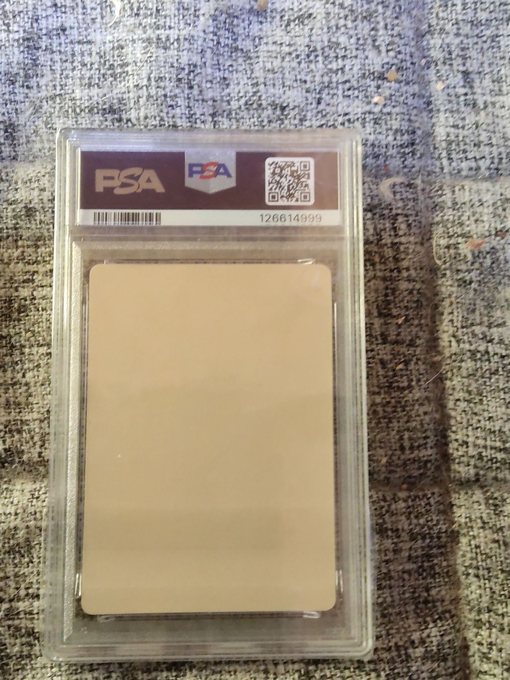 Pokémon Cartes à collectionner: 2020 Pikachu let's have fun pokeka Sticker PSA6 – D'occasion à Vezio par 41181 1