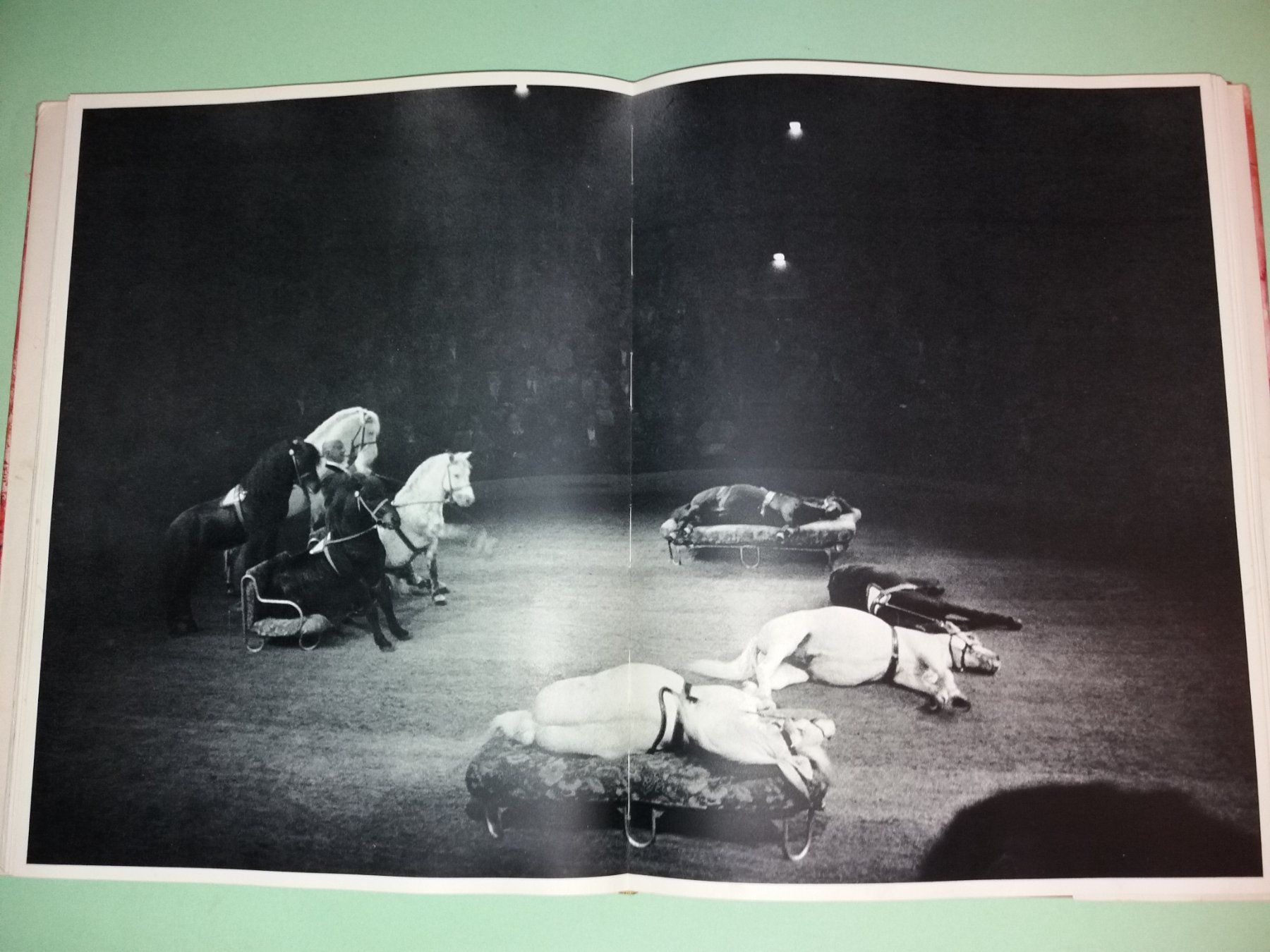 Bücher: IZIS cirque FOTOKLASSIKER Chagall Prevert – Gebraucht aus Welschenrohr von Regool 1