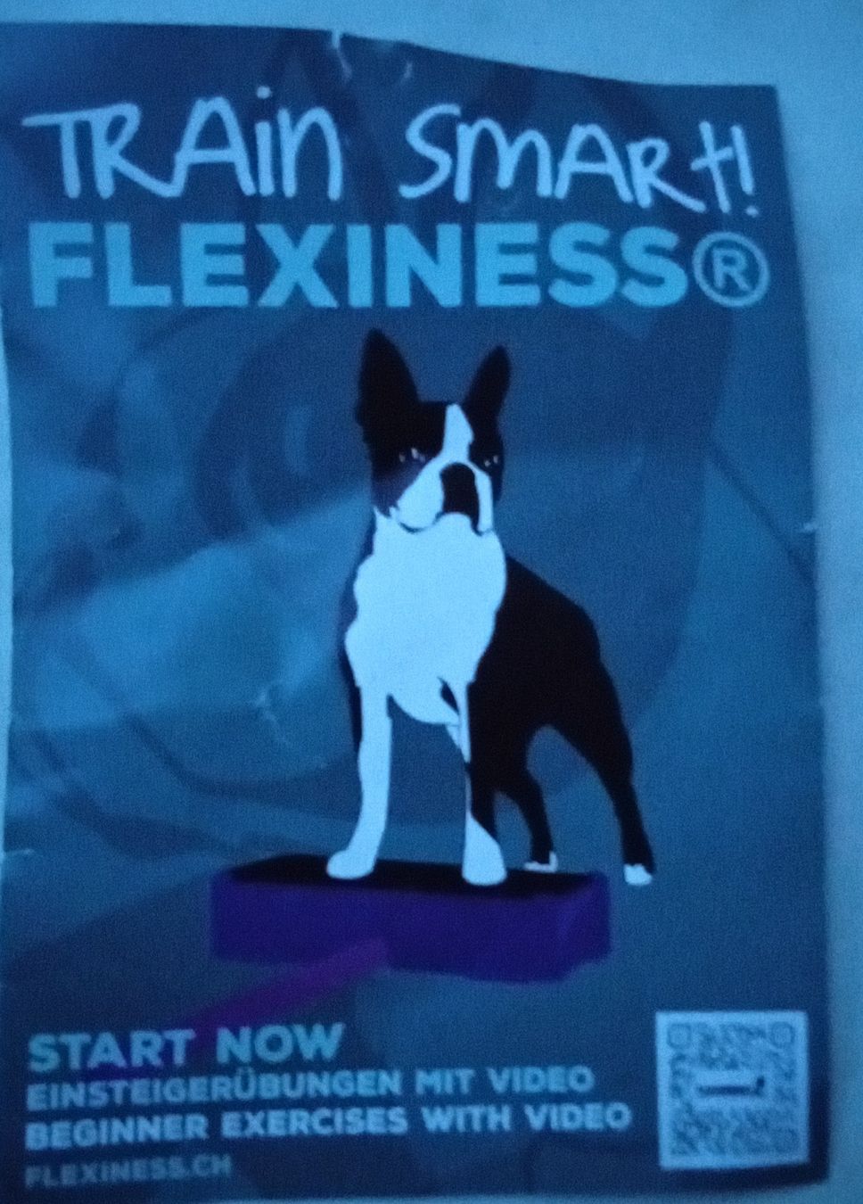 Abbigliamento: Flexiness Hundetraining Bälle Set Neu & OVP  – Usato da Hefenhofen venduto da citroen62 3