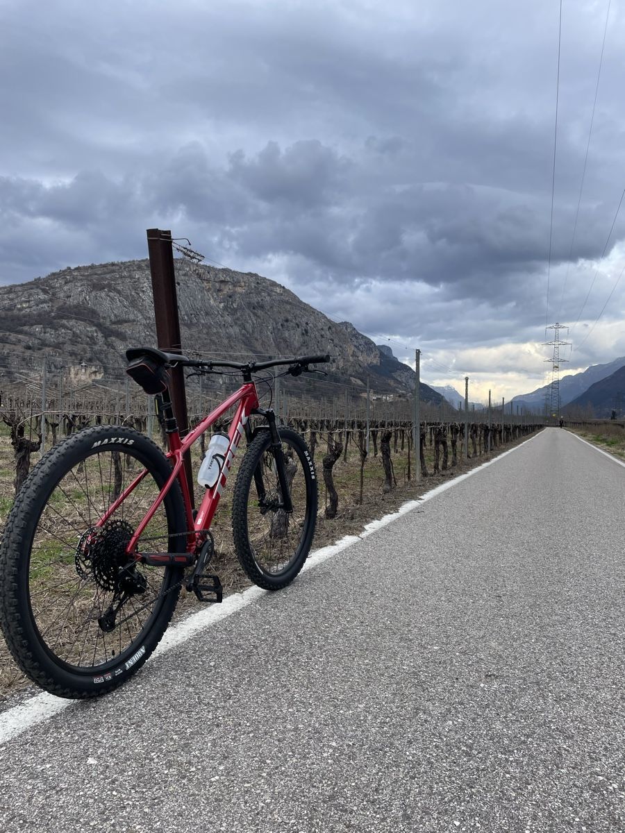 Trek Biciclette: Trek Marlin 8 Gen 3 – Usato da Glattbrugg venduto da nic_x7zq 5