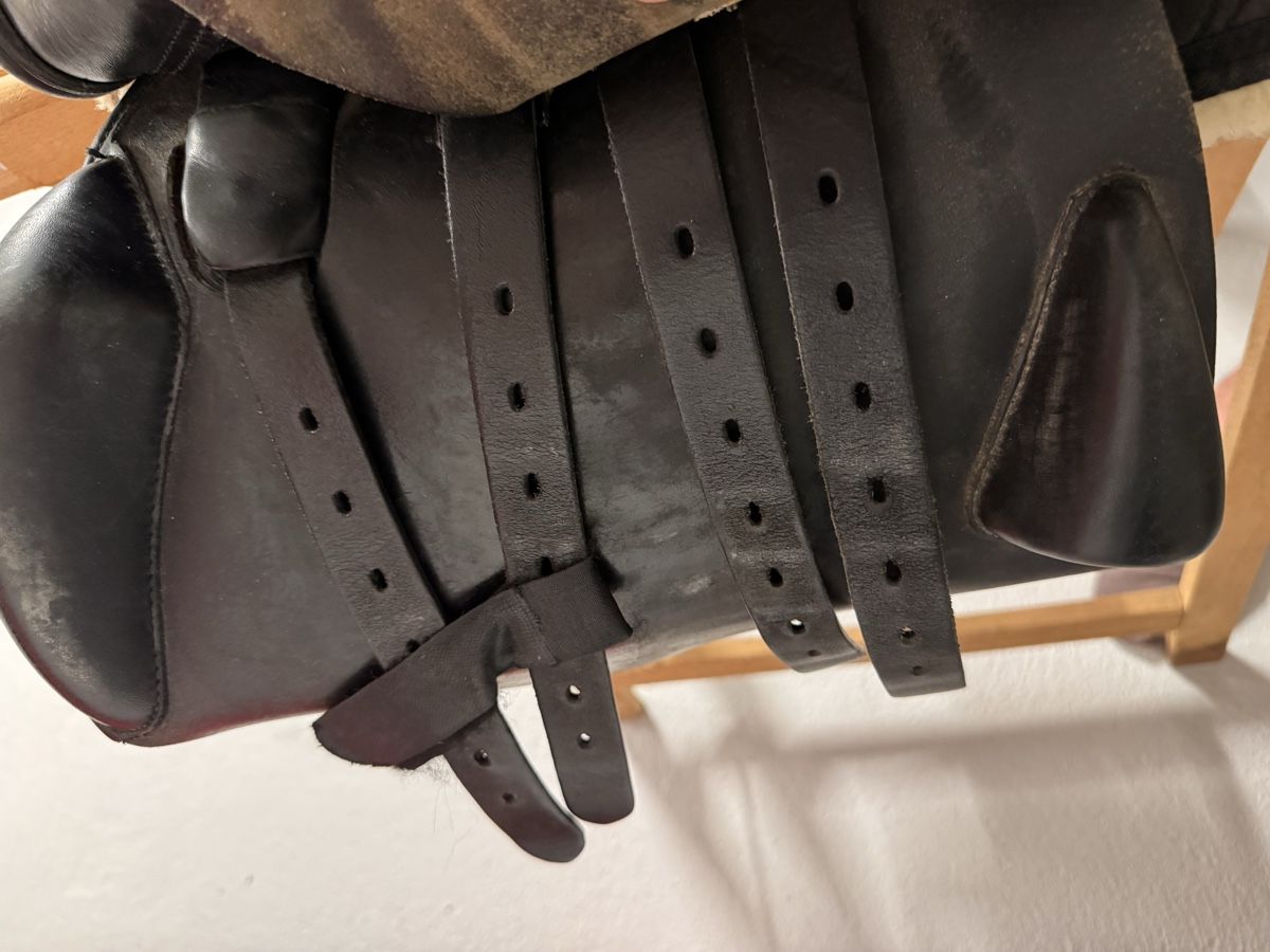 Selle & Accessori: Springsattel Peter Menet gebrauchter Zustand – Usato da Wil SG venduto da flo_svr7 3