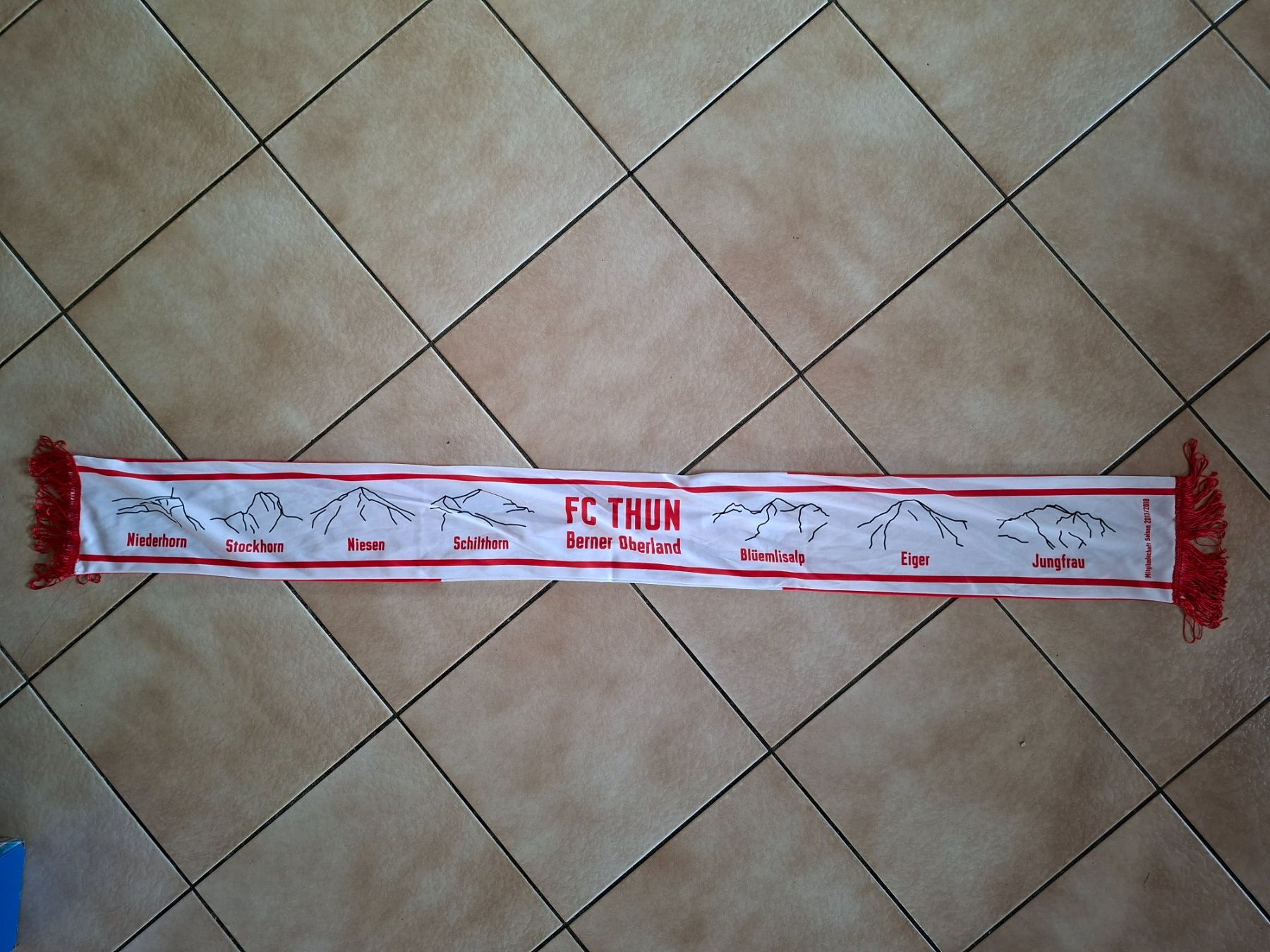 FC Thun Foulard & Sciarpe: FC Thun Fan Schal – Usato da Schwanden Sigrisw venduto da cadieux71 2