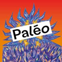 2 billets adulte paléo 24.07.26