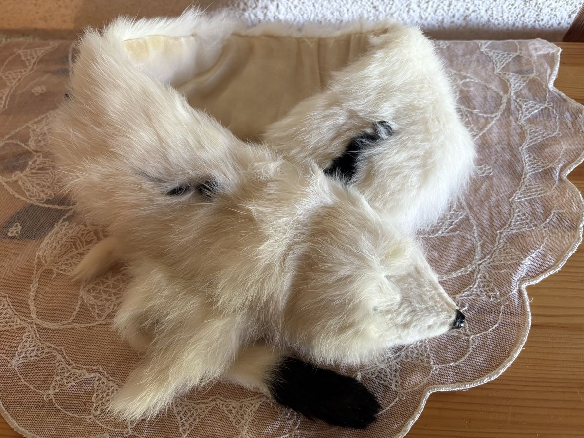 Bambole: Puppenkragen – Usato da Schönenberg ZH venduto da Roxana8820 1
