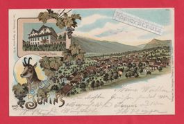 Gruss aus Jenins (GR) "Gianin" Region Landquart Farb-Liho