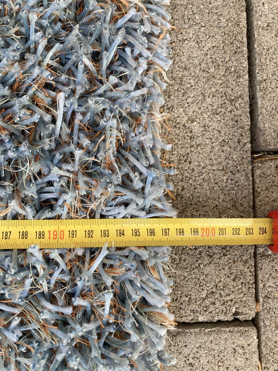 Tappeti: Teppich – Usato da Schlieren venduto da Flower5 3
