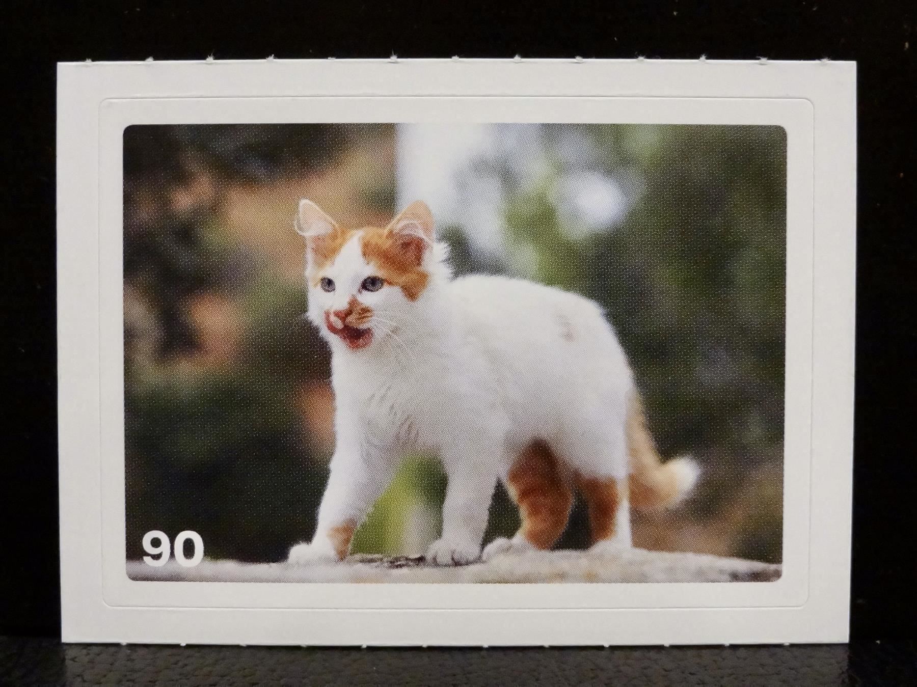Migros Carte collezionabili: MIGROS MANIA Nature Detectives Nr. 90 – Usato da Kerzers venduto da zimmergruen