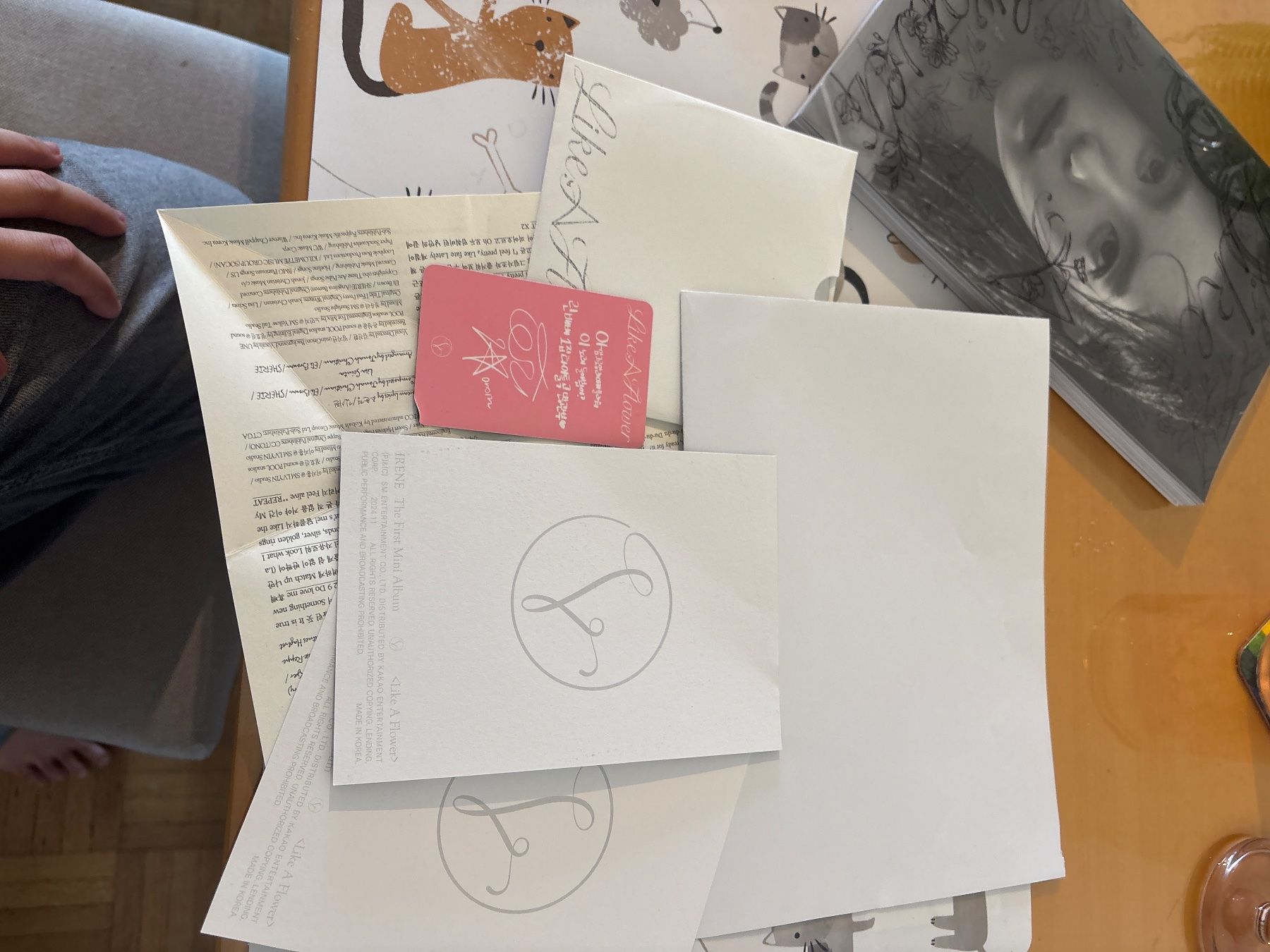 Album: Kpop Irene -Like a Flower- Album – Usato da Dübendorf venduto da DongM 2