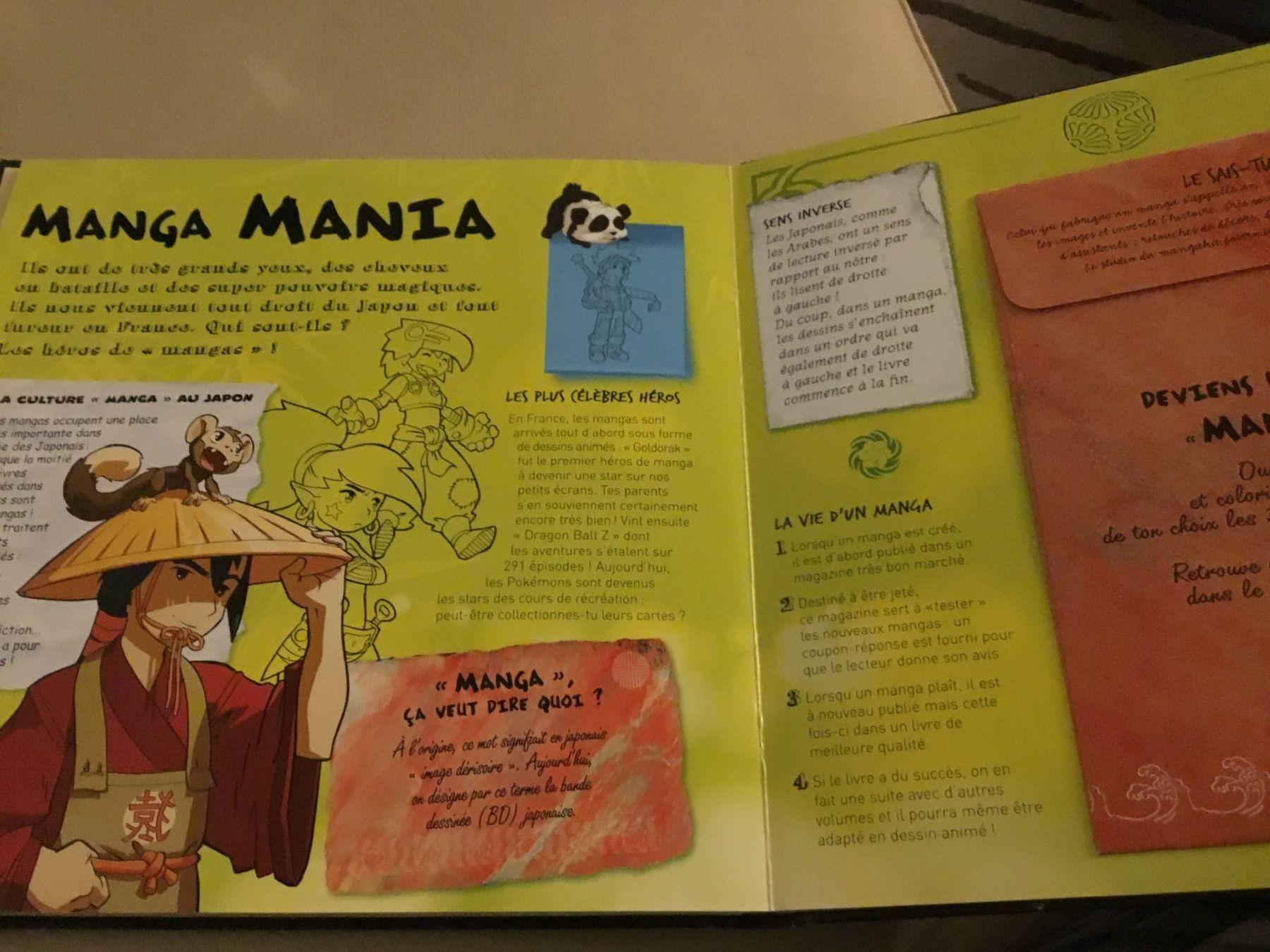 Libri: BOYS BOOK, 100% garçons, éditions LAROUSSE – Nuovo (secondo la descrizione) da Genève venduto da Mazelyne 3