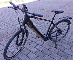 Herren E-Bike Allegro 25km