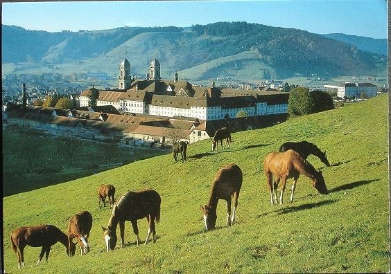 Cartoline postali: EINSIEDELN Pferde - Weide des Klosters – Usato da Jona venduto da philajona