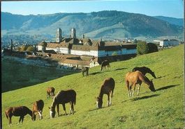 EINSIEDELN Pferde - Weide des Klosters