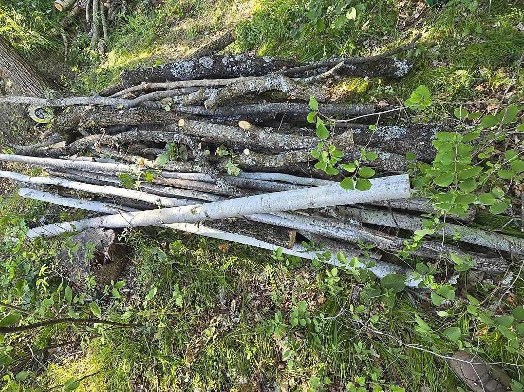 Articoli in legno: Bois de chauffage – Usato da Savièse venduto da Laguinee