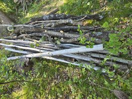 Bois de chauffage