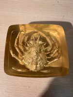 Crabe Résine Vintage Décoration Maison Mer 🦀