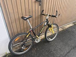 Kinder Velo Tigra