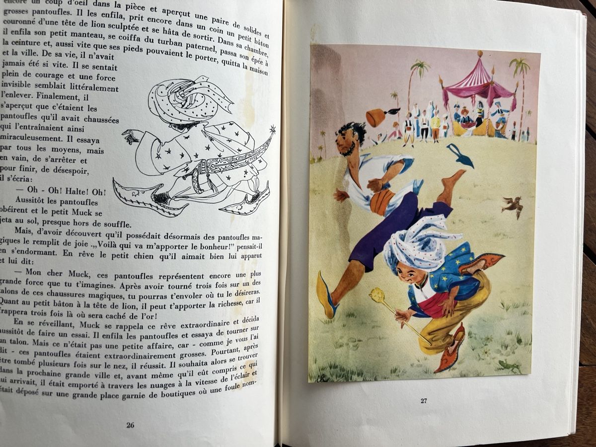 Libri: Contes illustrés pour enfants - Hauff – Usato da Savigny venduto da ron_q529 9
