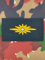 Spezialistenabzeichen Generalstab, Versuch, Variante 2