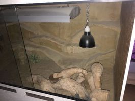 Grosses Reptilien-Terrarium- Handgemacht