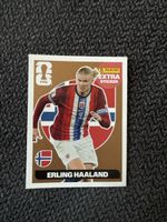 HAALAND BRINZA EXTRA STICKER