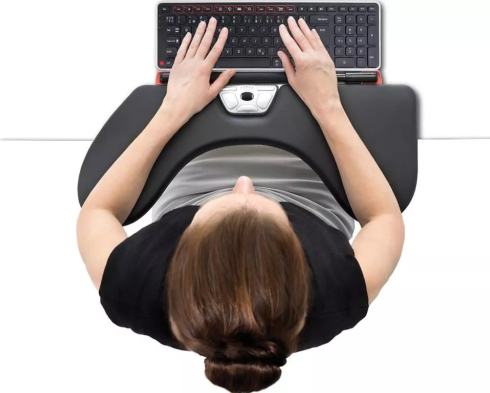 Mouse: Ergonomische Maus mit Armstütze – Usato da Affoltern am Albis venduto da Owly 1