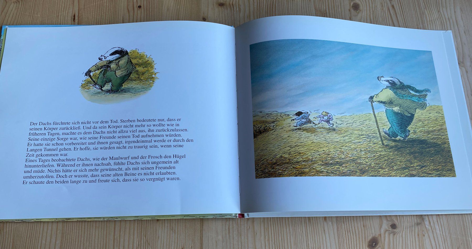 Libri: Leb wohl, lieber Dachs. v. Susan Varley – Nuovo (secondo la descrizione) da Weinfelden venduto da Cheyenne21 3