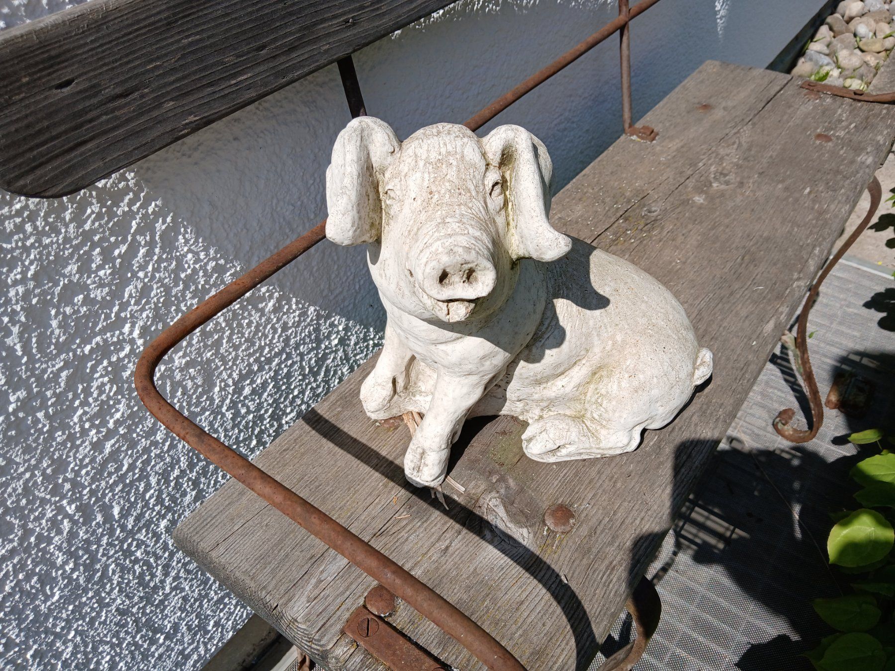 Sculture & Statue: Schwein Gartenskulptur gegossen – Usato da Zumikon venduto da Vollvintage 3