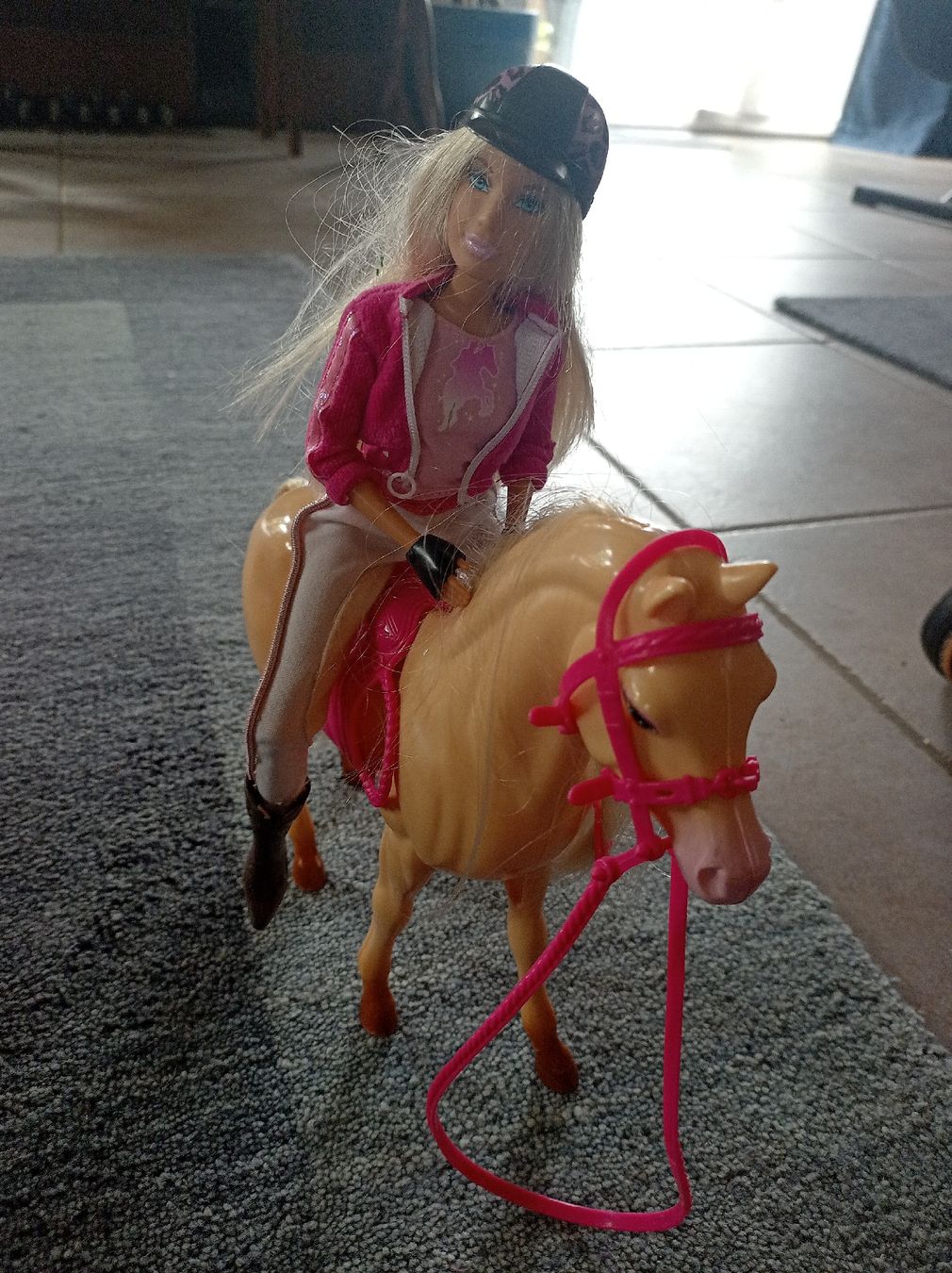 Bambole: Barbie mit Pferd und Pferdebox – Usato da Romanshorn venduto da lobpreis01 4