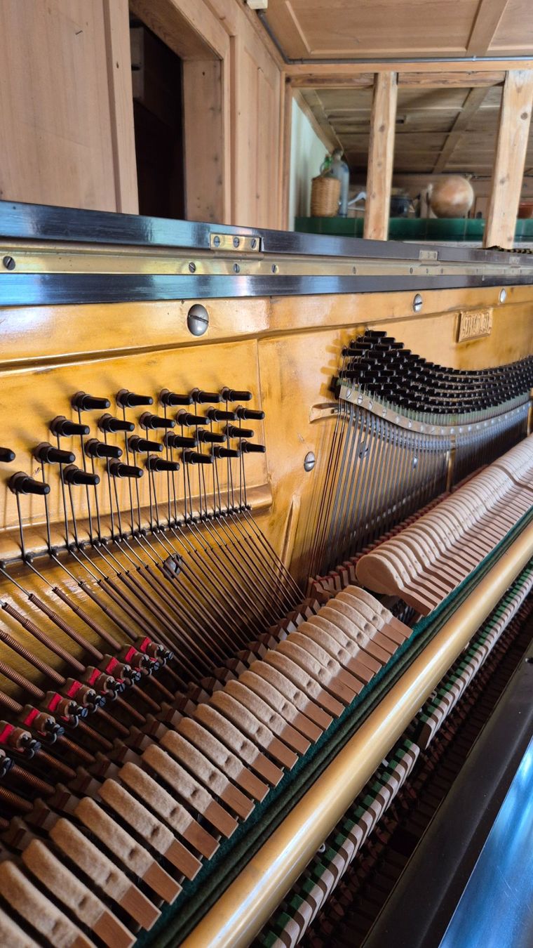 Strumenti musicali: Klavier gratis abzuholen – Difettoso da au venduto da MathiasE02 5