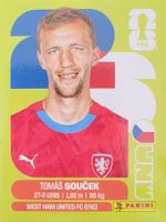 Panini FIFA World Cup CZE 12