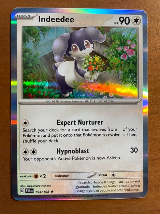 Pokemon Indeedee Holo (Versand gratis) (Neu (gemäss Beschreibung)) in ...