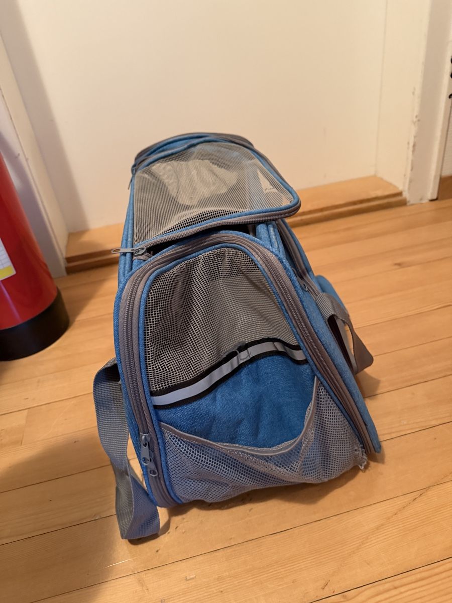 Borse: Gut erhaltene Hundetasche. – Usato da Oberägeri venduto da mic_m272 2