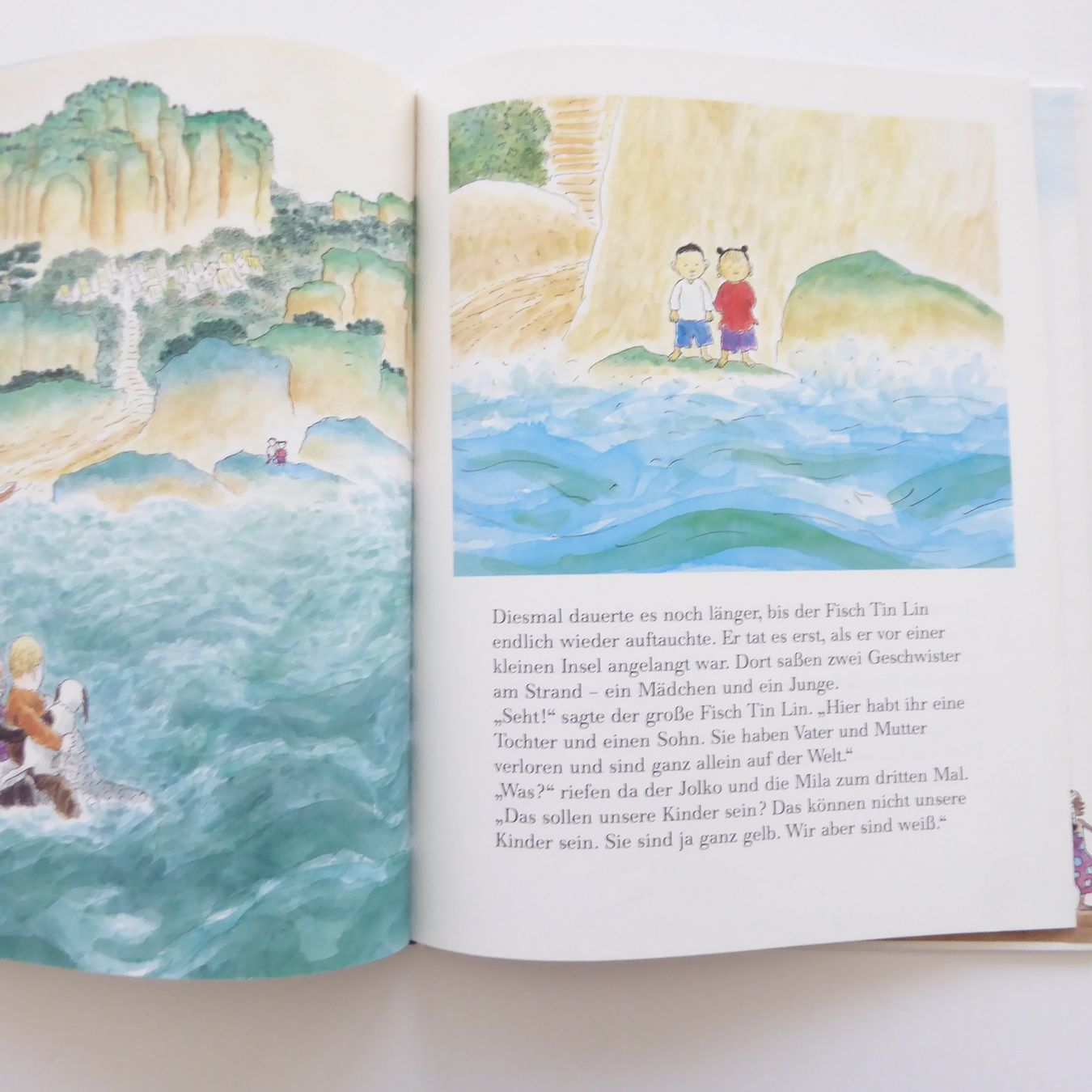 Bücher: Der grosse Fisch Tin Lin – Gebraucht aus Basel von Kunterbunt12 5
